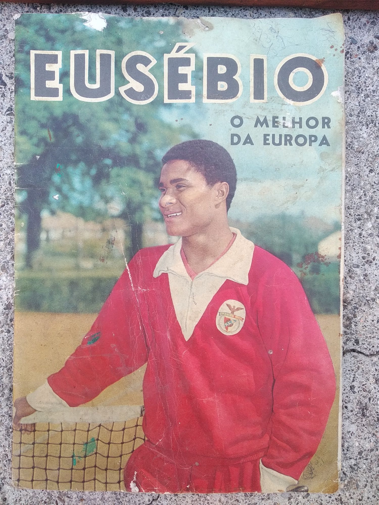 Quadro do Benfica antigo anão 60 e livro antigo sobre Eusébio