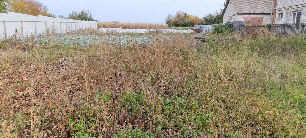 Земельна ділянка