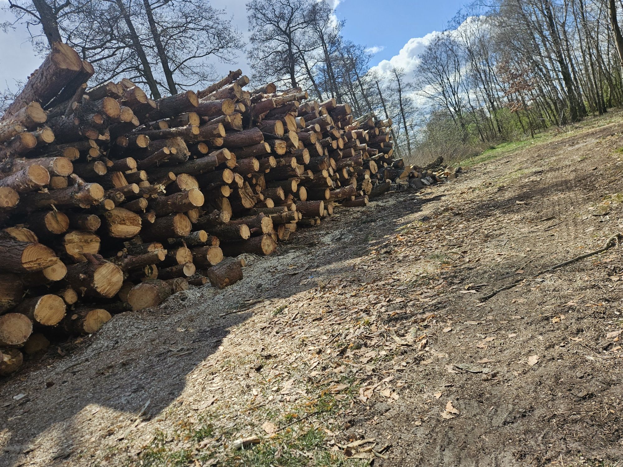 Drewno kominkowe Opałowe Olcha sosna