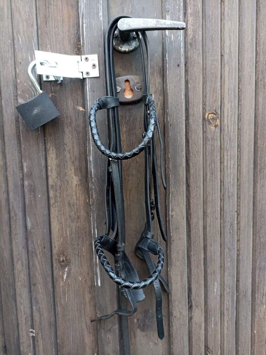 Ogłowie Cladridge House pony