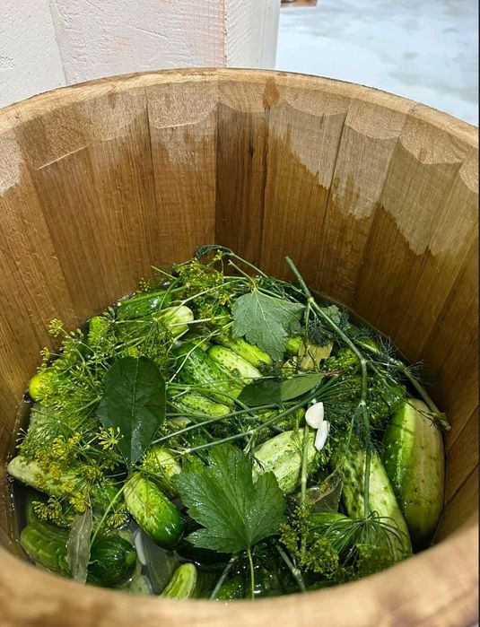 Діжка дубова для соління, бочка для квашення, кадка діжечка, оброблені