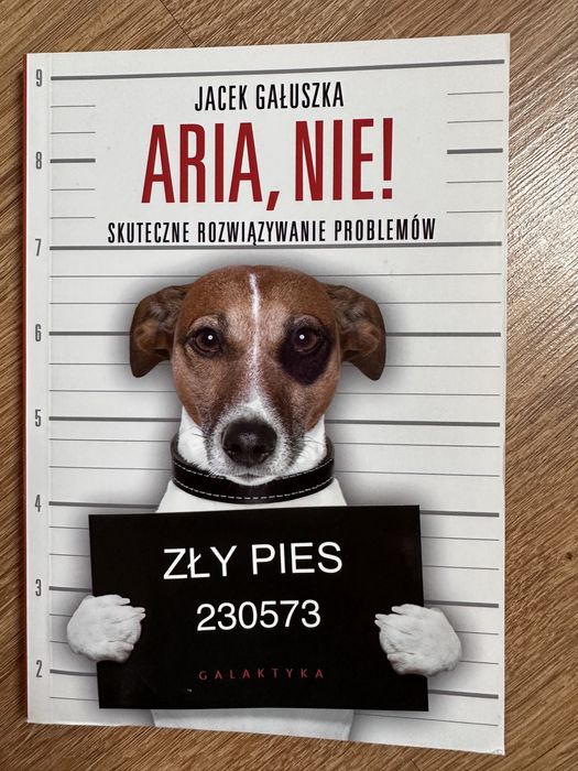 Aria, nie! Skuteczne rozwiazywanie problemów