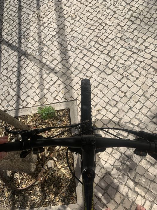 Bicicleta Berg Roda 29
