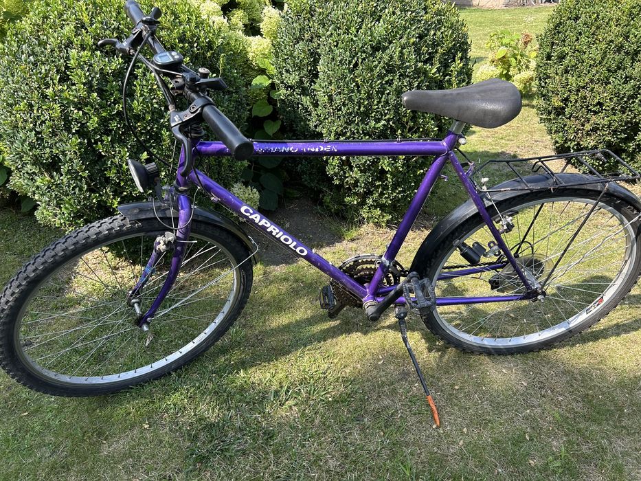 Rower męski firmy Capriolo