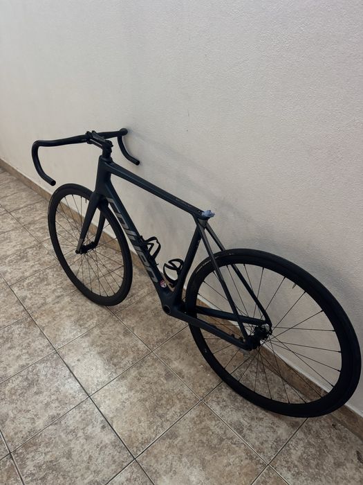 Quadro Coluer Invicta carbono L