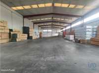 Loja / Estabelecimento Comercial em Aveiro de 1166,00 m2