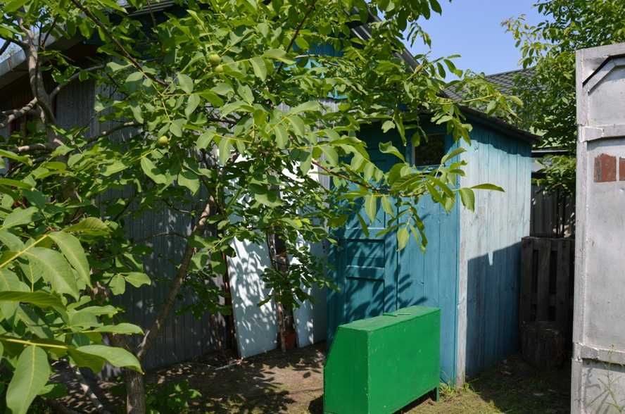 Домик на причале №5