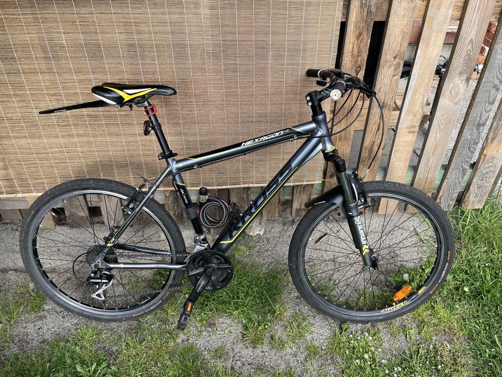 Kross Hexagon 5 roz. M(19)
