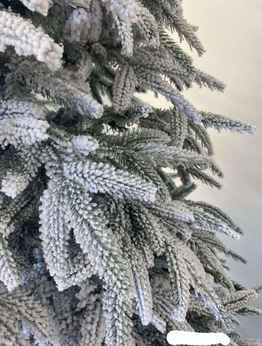 Ялинка альпійська засніжена 180см.