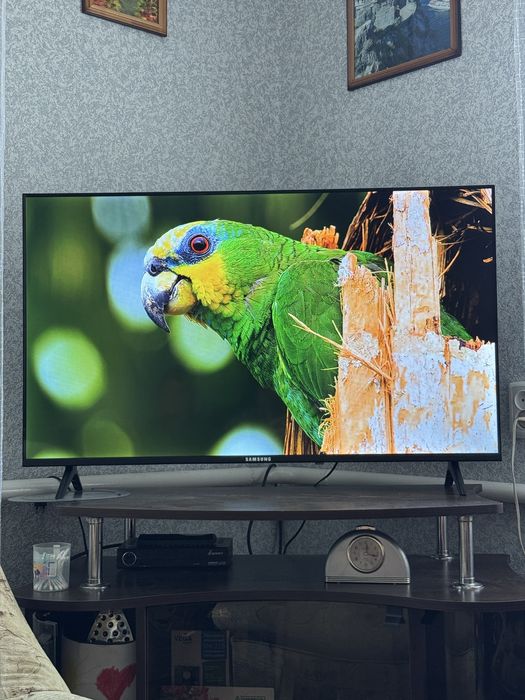 Плазма 2025 року 45 діагональ Samsung