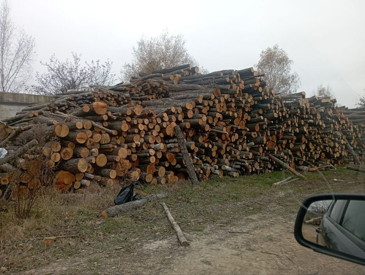 Продам Дрова Метрові та Двометрові