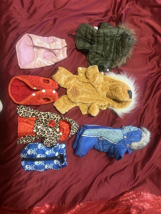 Теплі комбінезони та делетки на тойтерьера