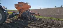 Usługowy siew pasowy strip till Mzuri Czajkowski horsch