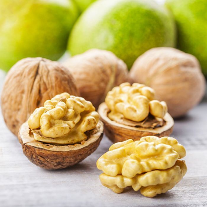 Саджанці грецького горіха(привитого)Роздріб/Саженцы грецкого ореха ОПТ