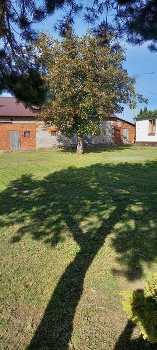 Siedlisko z działką na sprzedarz