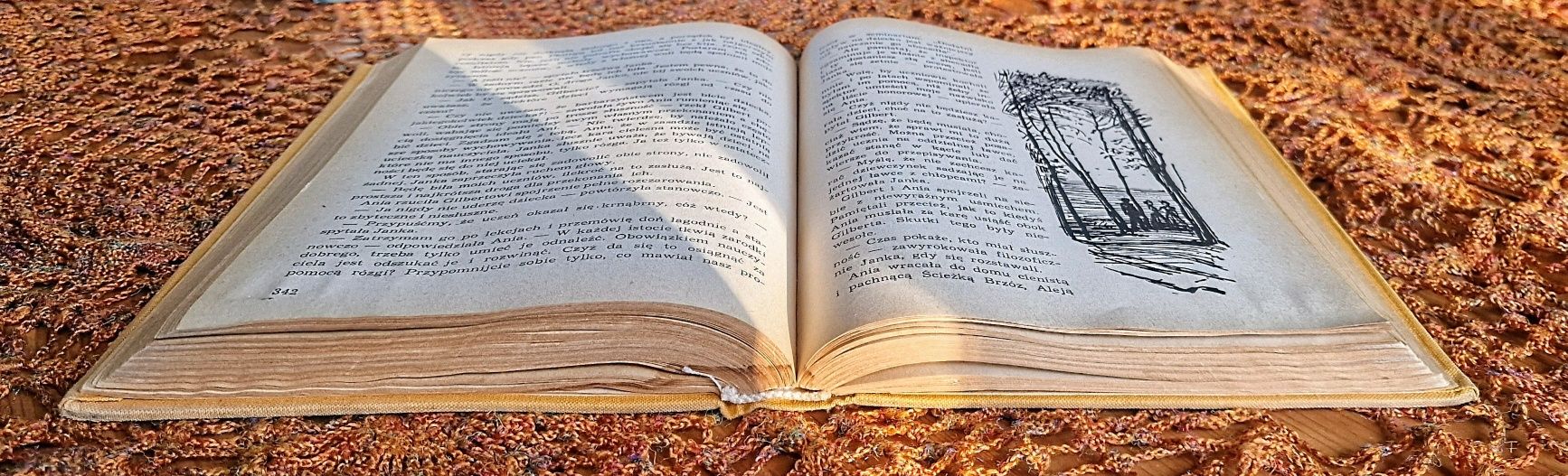 Ania z Zielonego Wzgórza i Ania z Avonlea - Lucy Maud Montgomery
