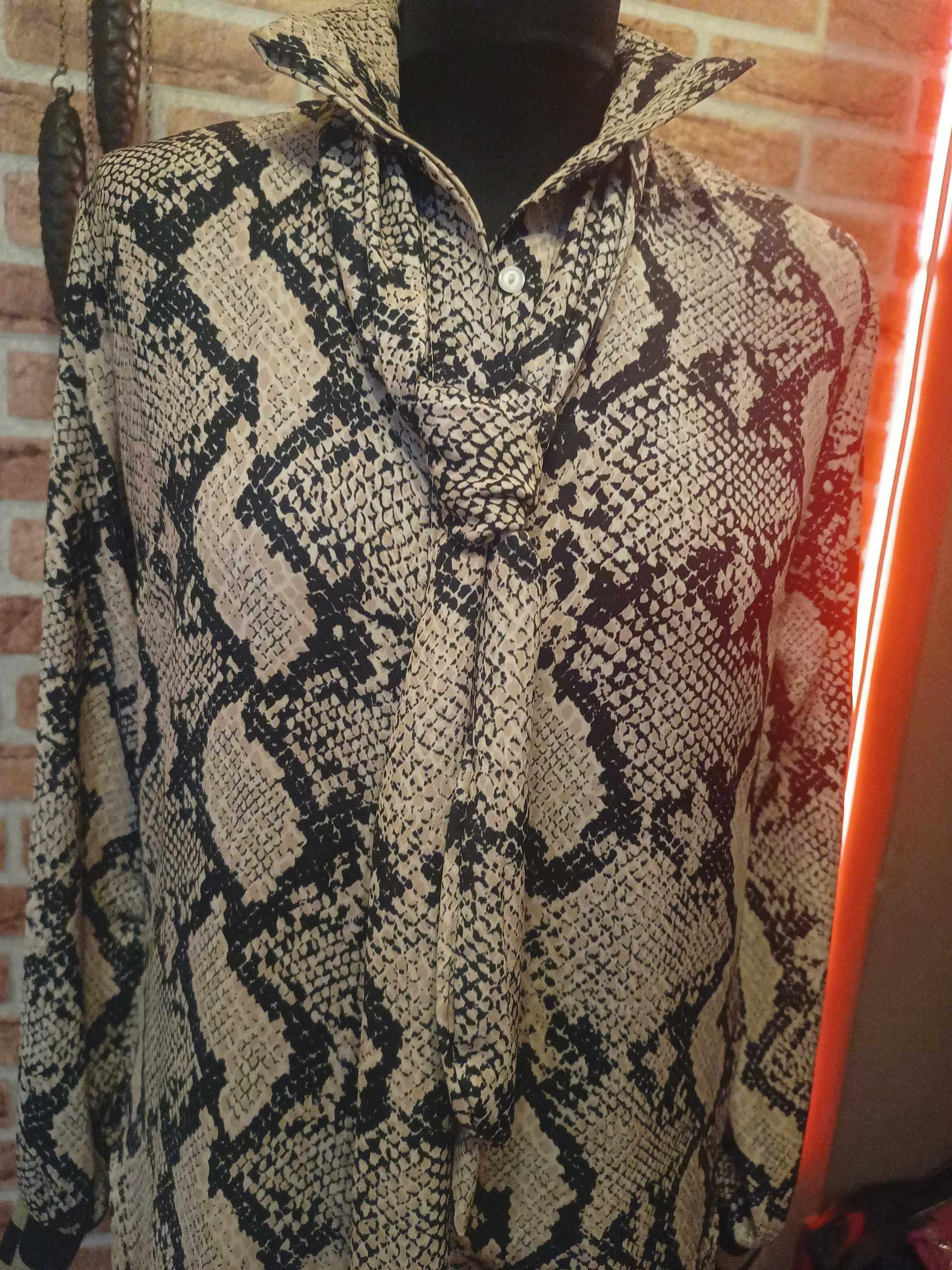 Elegancka koszula z krawatem