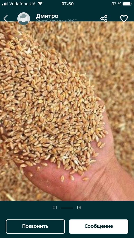 Продам пшеницу 2024г