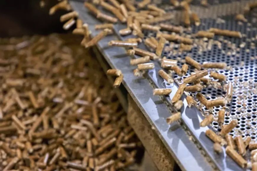 Pellet Pelet Drzewny Beskidy A1 Certyfikowany Producent