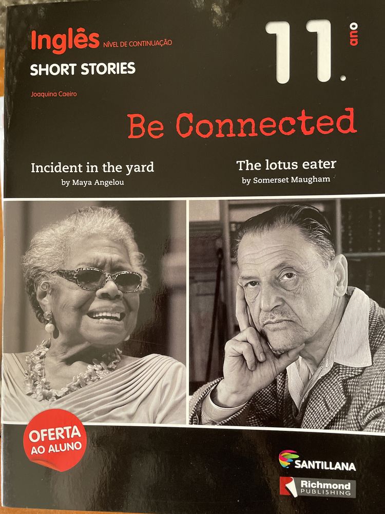 Inglês 11ano Be Connectef