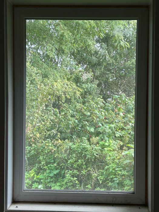 Вікна з сітками від комарів