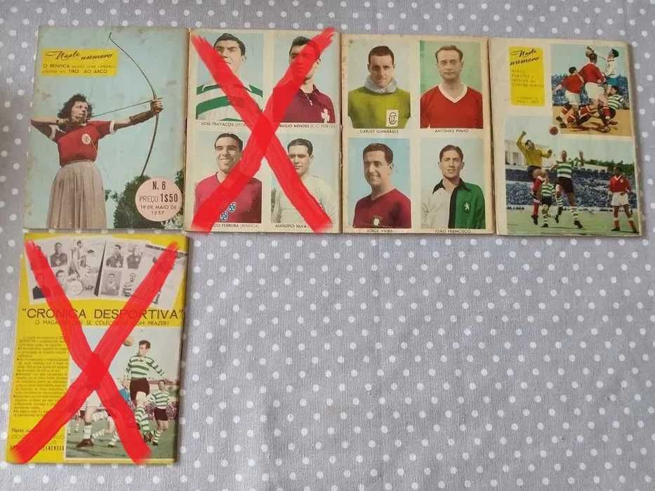 Ídolos do desporto e crónica desportiva Sporting