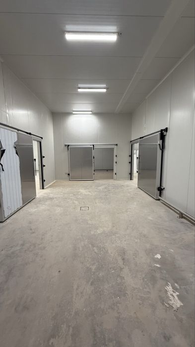 Firma spożywcza, mroźnia składowa, 2 szokery- do 15 ton/24h, nadzór WI
