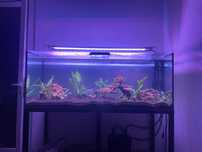 Aquário Scalare 400L