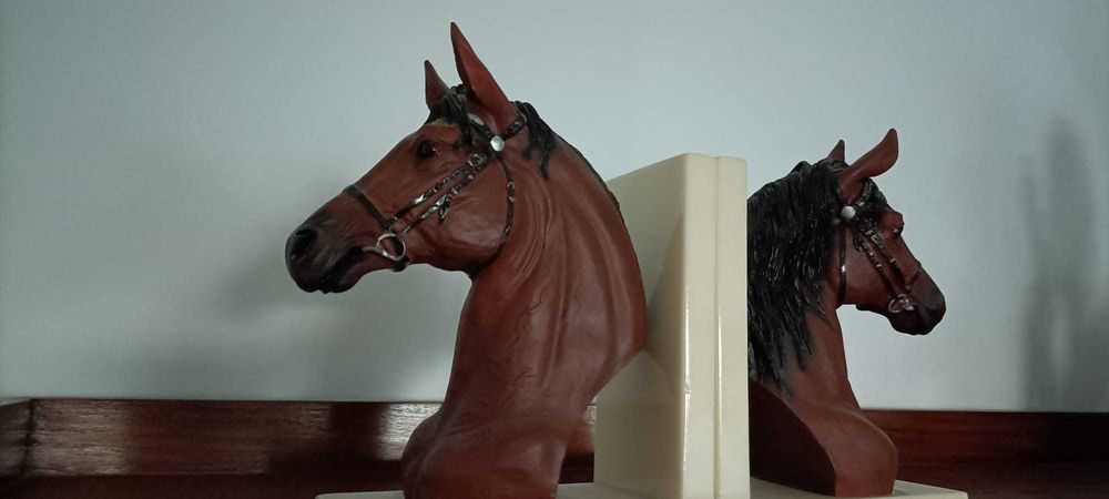 Cerra livros com cavalos