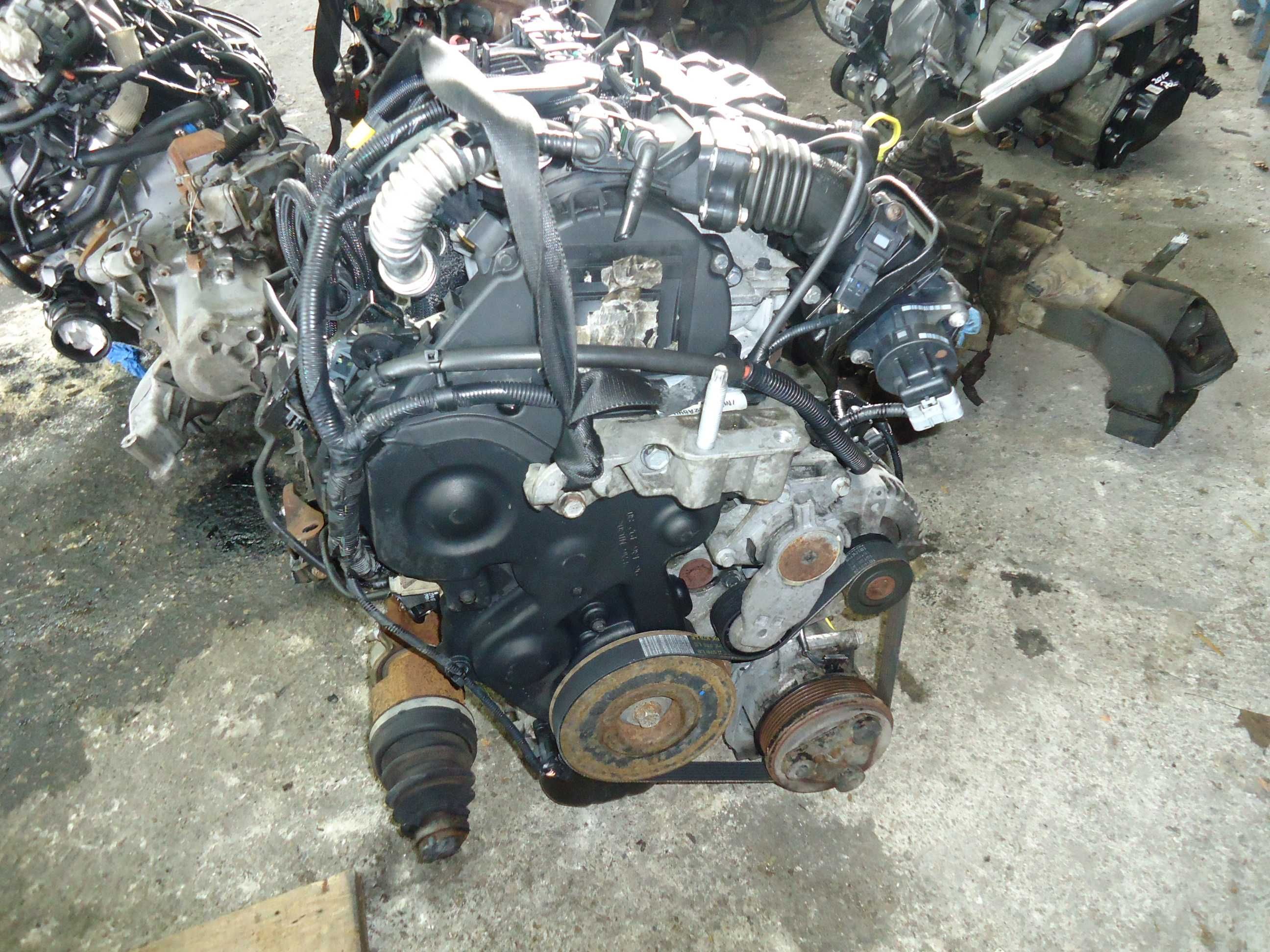 Motor Ford 1.6 Tdci 90cv (HHDA)