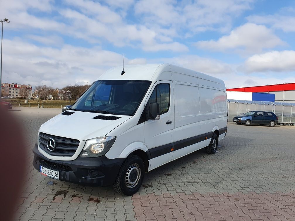 Wynajem busa iveco daily mercedes sprinter maxi max