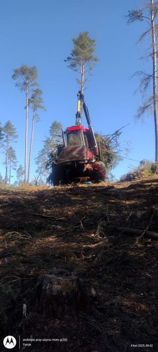 Ścinka drzew Mulczowanie Czyszczenie działek