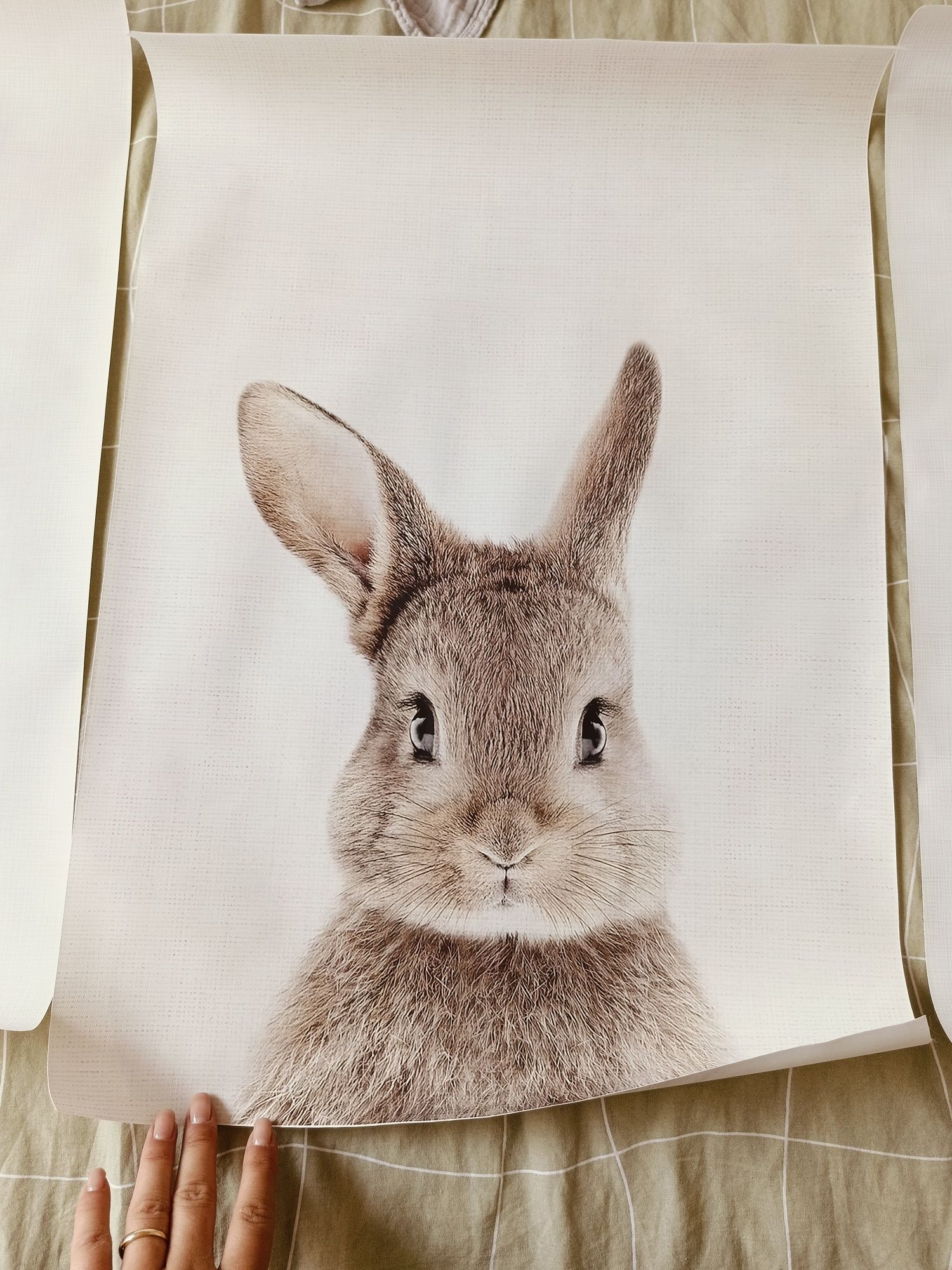 Plakaty do pokoju dziecięcego plakat zwierząt 40x60