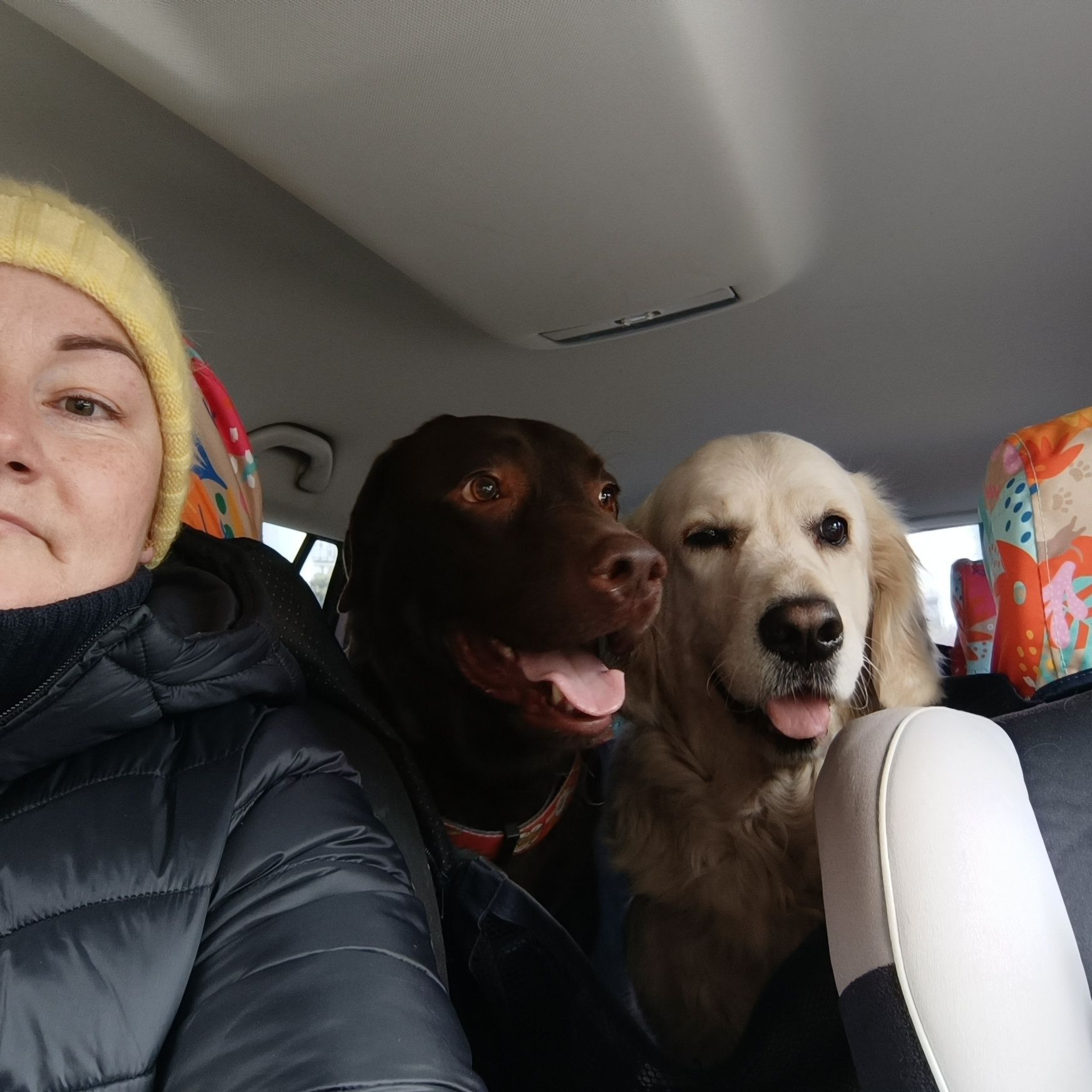 Petsitter dla Twojego zwierzaka