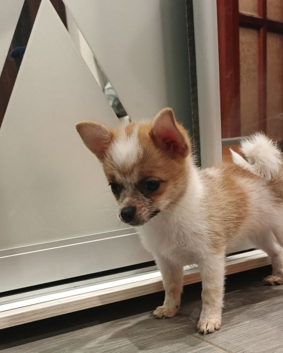 Ефектна дівчинка готова до броні