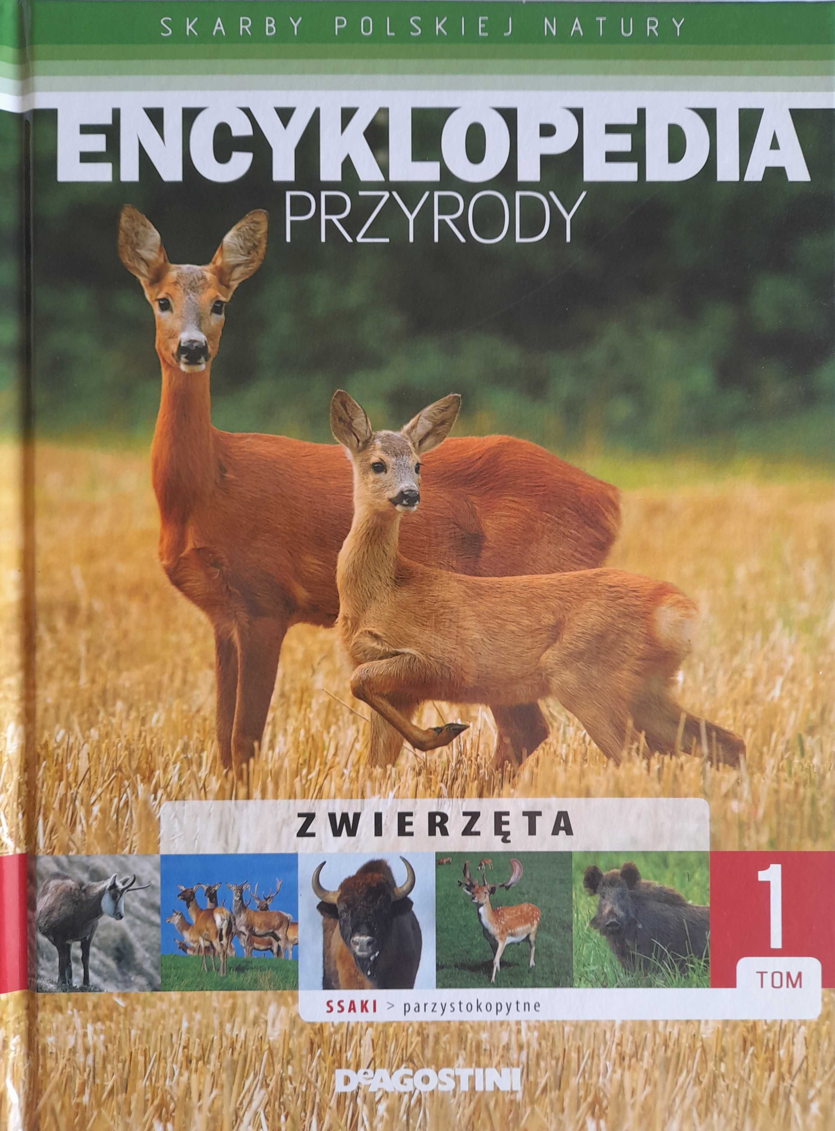 Encyklopedia przyrody ZWIERZĘTA Tom 1