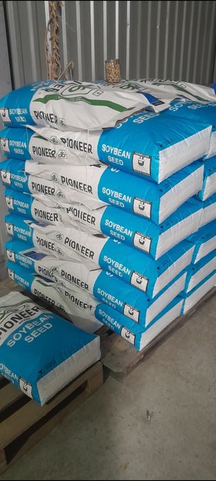 ''PIONER серія''А'' Elit  USA Соя посівна ГМО насіння сої на посів