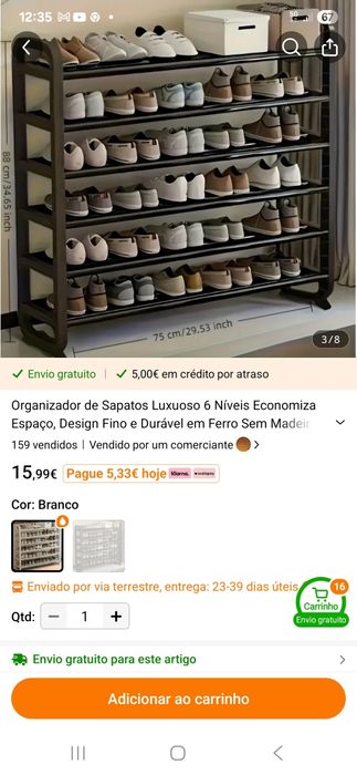 Acompanhante de idosas