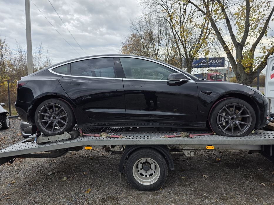 Tesla Model 3 (задній) Львів , рік 2019