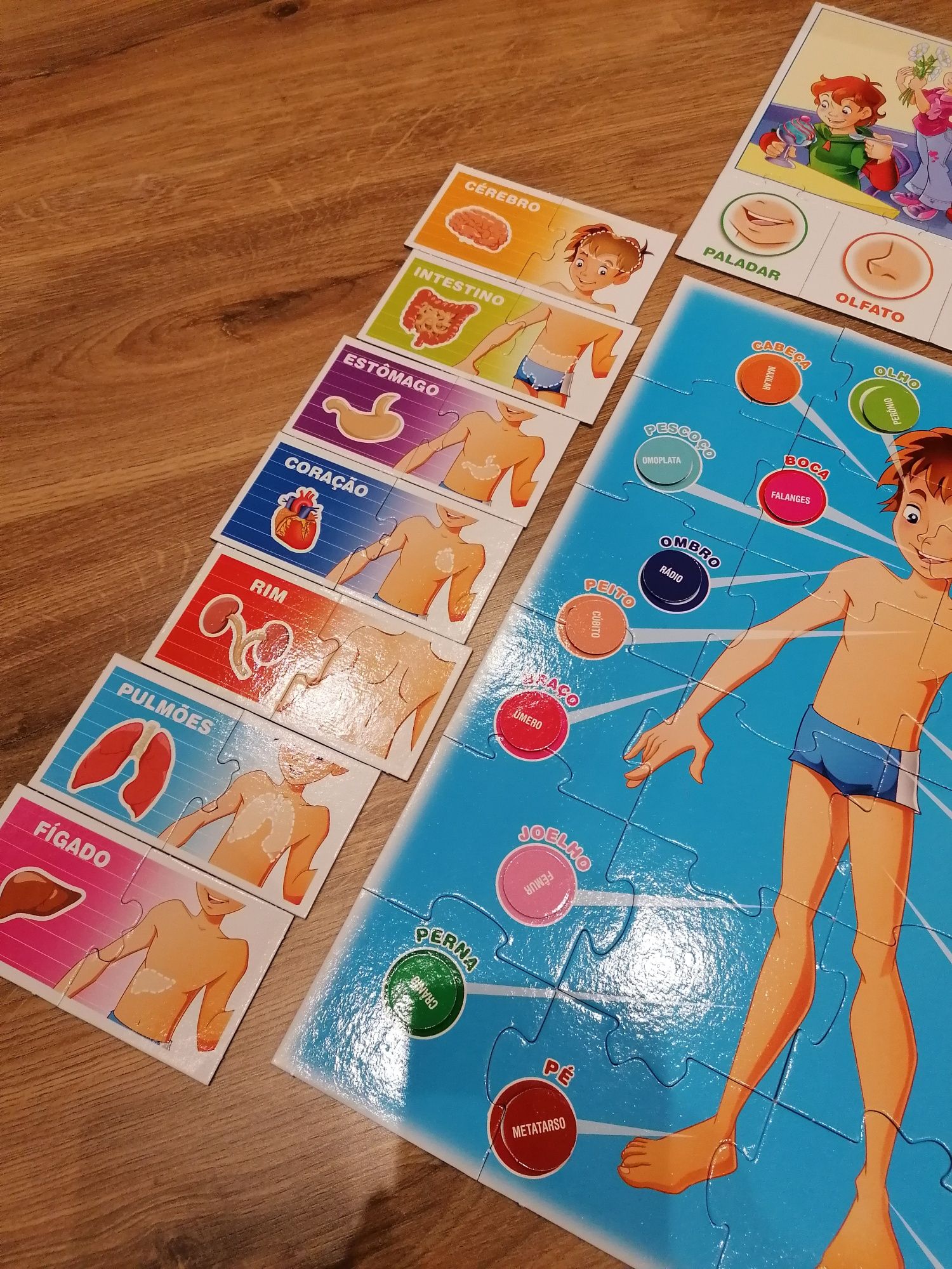 Jogo/ Puzzle O corpo humano, da Clementoni