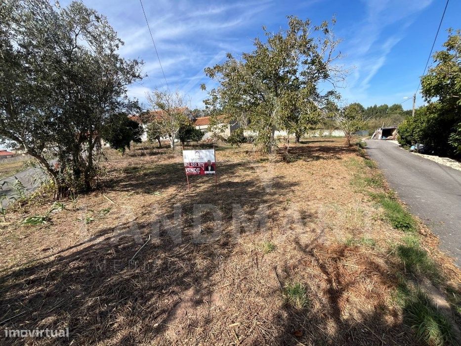 Terreno Rústico - Turquel