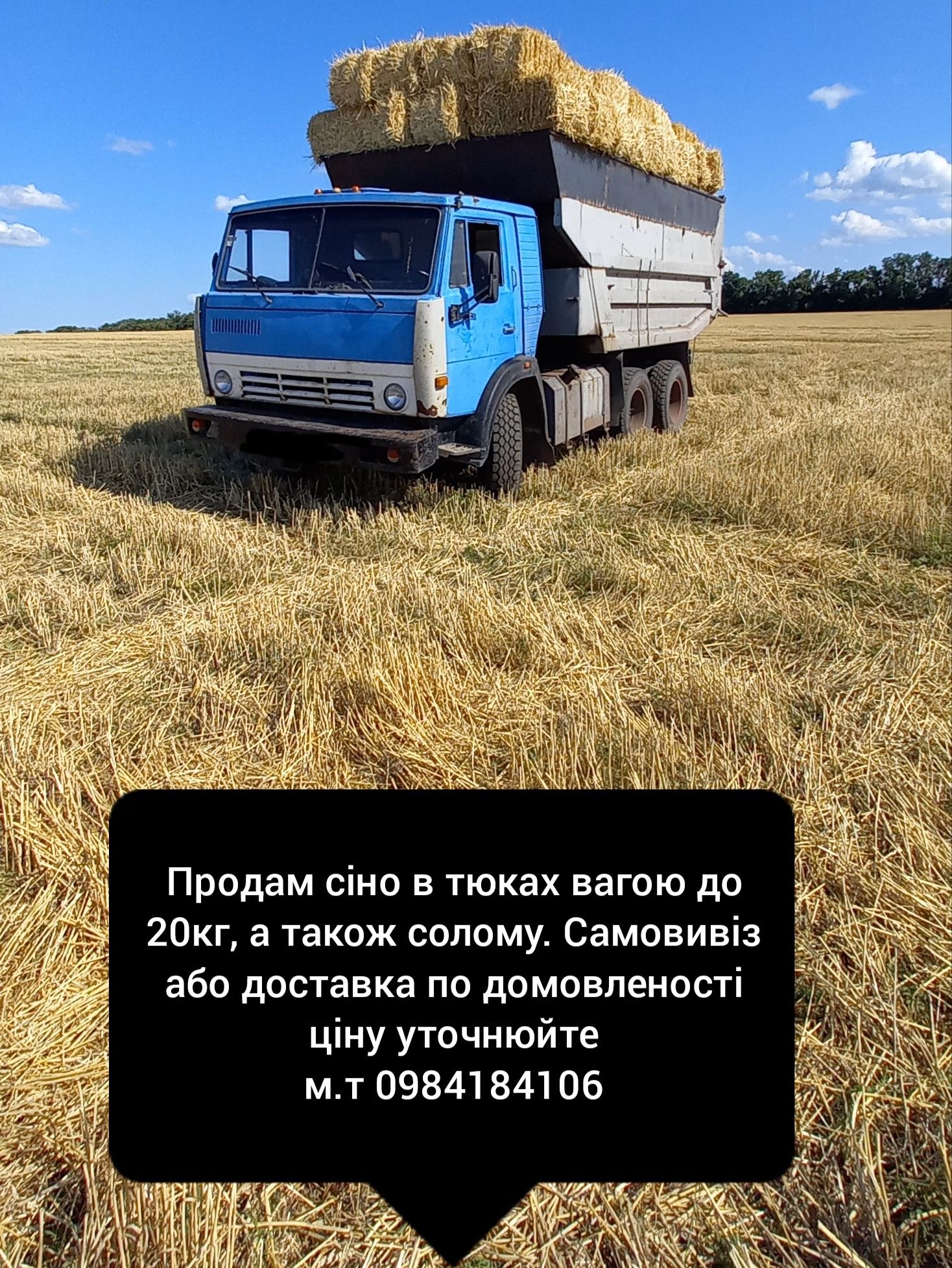 Продам солому.