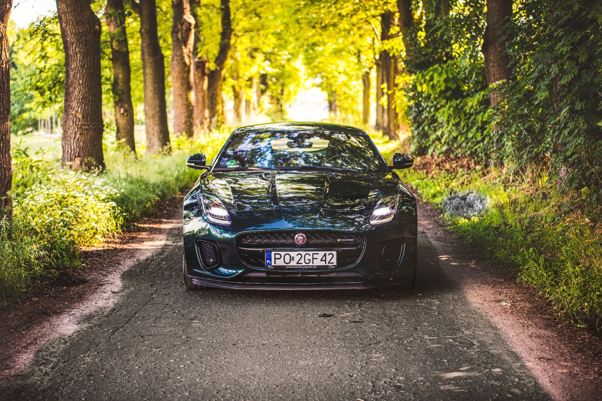 Jaguar F-Type Jaguar F-Type – zielona strzała, która łamie serca