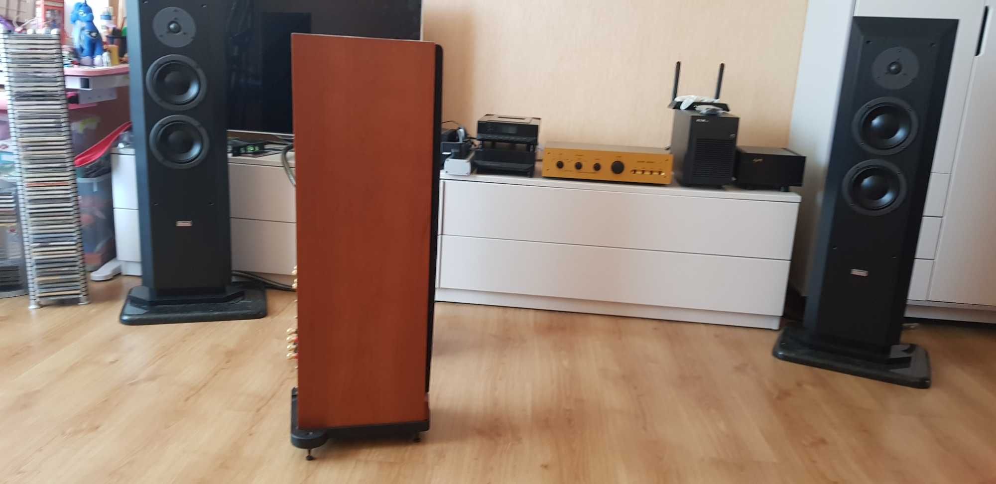 Підлогова акустика Spendor 6SE