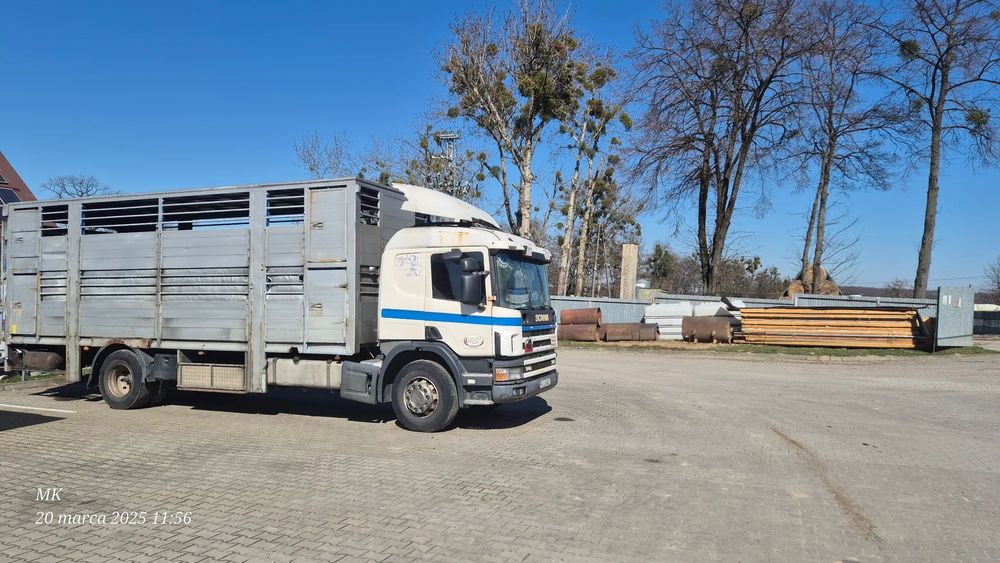 Scania 94G 310  Scania 94 G - Przewóz zwierząt