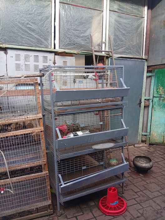 Продам клітку для перепілок курей