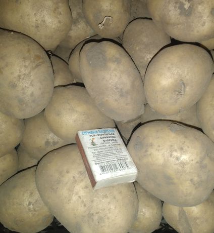 Продам крупну картоплю-картошку