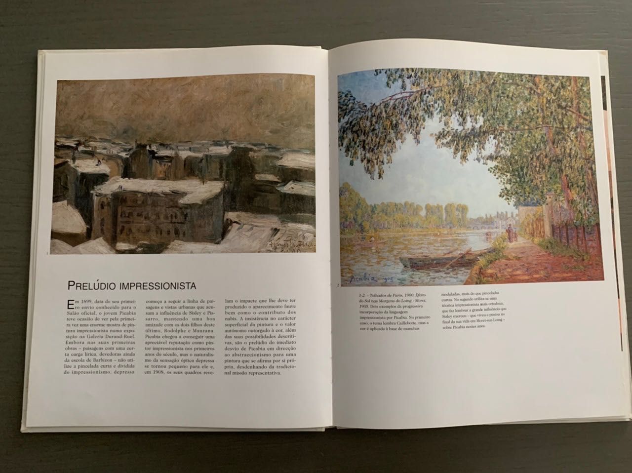 Grandes pintores do século XX - Francis Picabia
