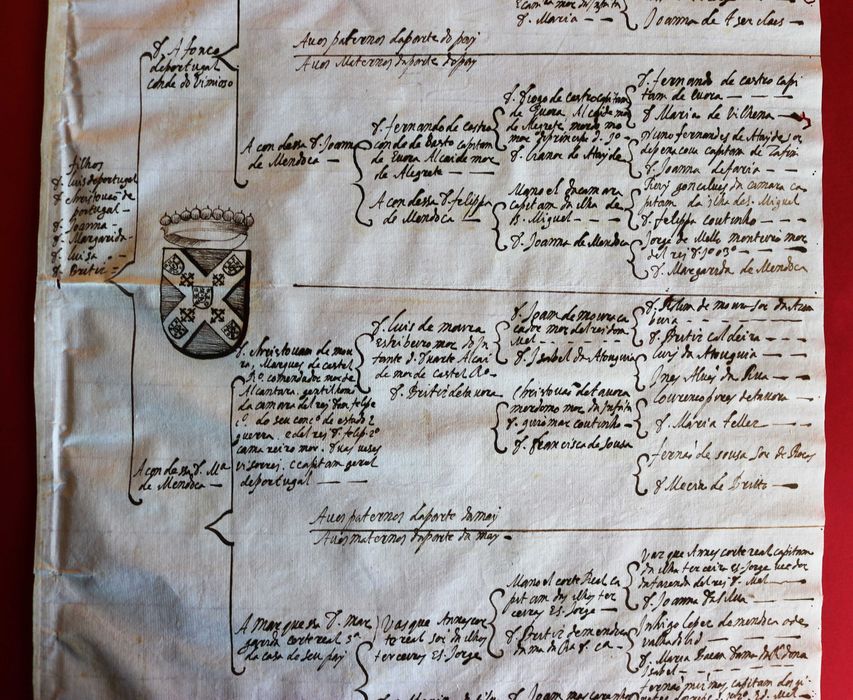 Apelido Portugal, Condes de Vimioso, 1628 árvore genealógica