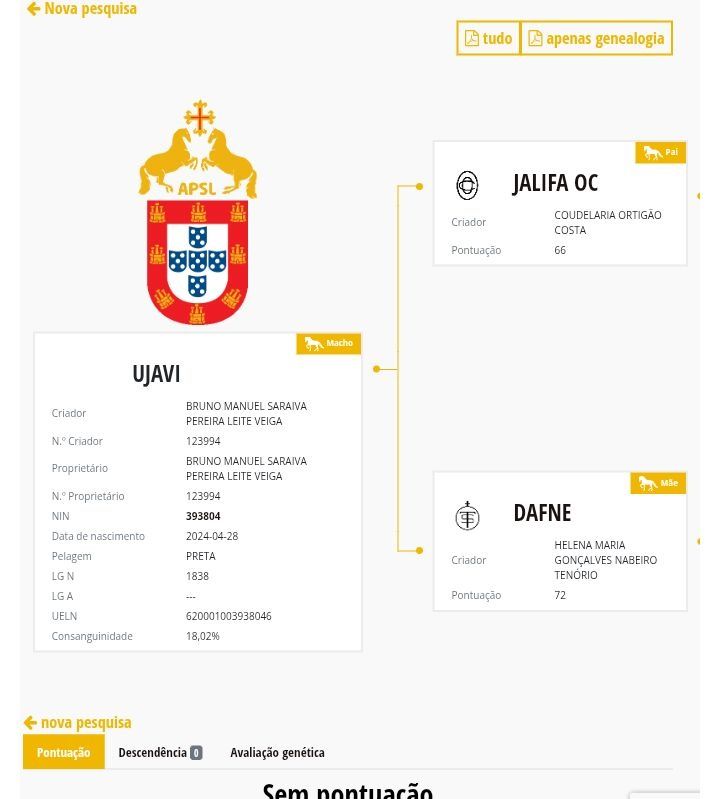 Poldro Lusitano Preto